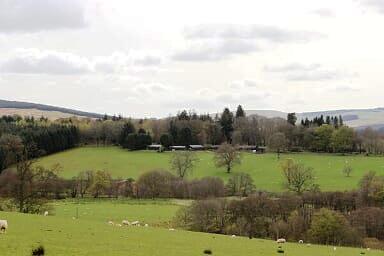 Wauchope Cottages viewed from B6357 Newcastleton Road